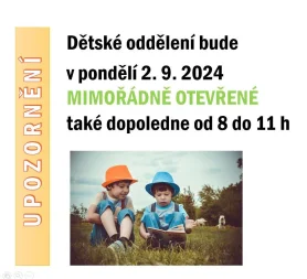 Mimořádný provoz